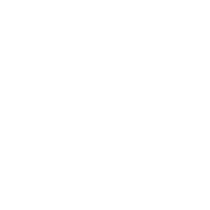 Logo Wi Blanco Puro Transparente 300x300